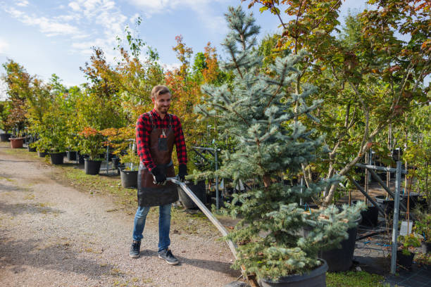 Best Commercial Tree Services  in Horicon, WI